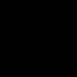 Meet your Posher, Bob